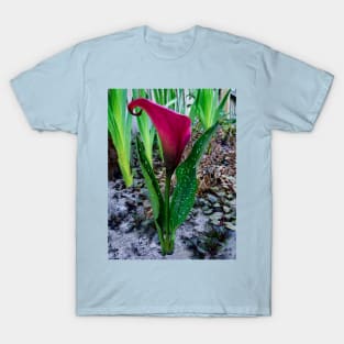 The Red Calla Lily T-Shirt